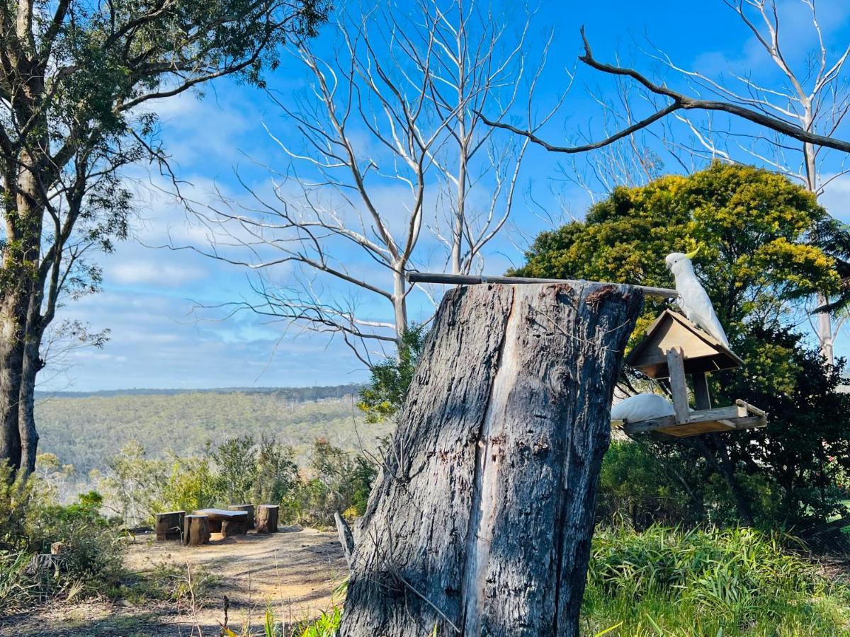 Canyon Cottage Majestic View Blackheath Luaran gambar